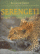 Serengeti