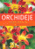 Orchideje - zahrada pro radost