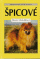 Špicové